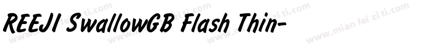 REEJI SwallowGB Flash Thin字体转换